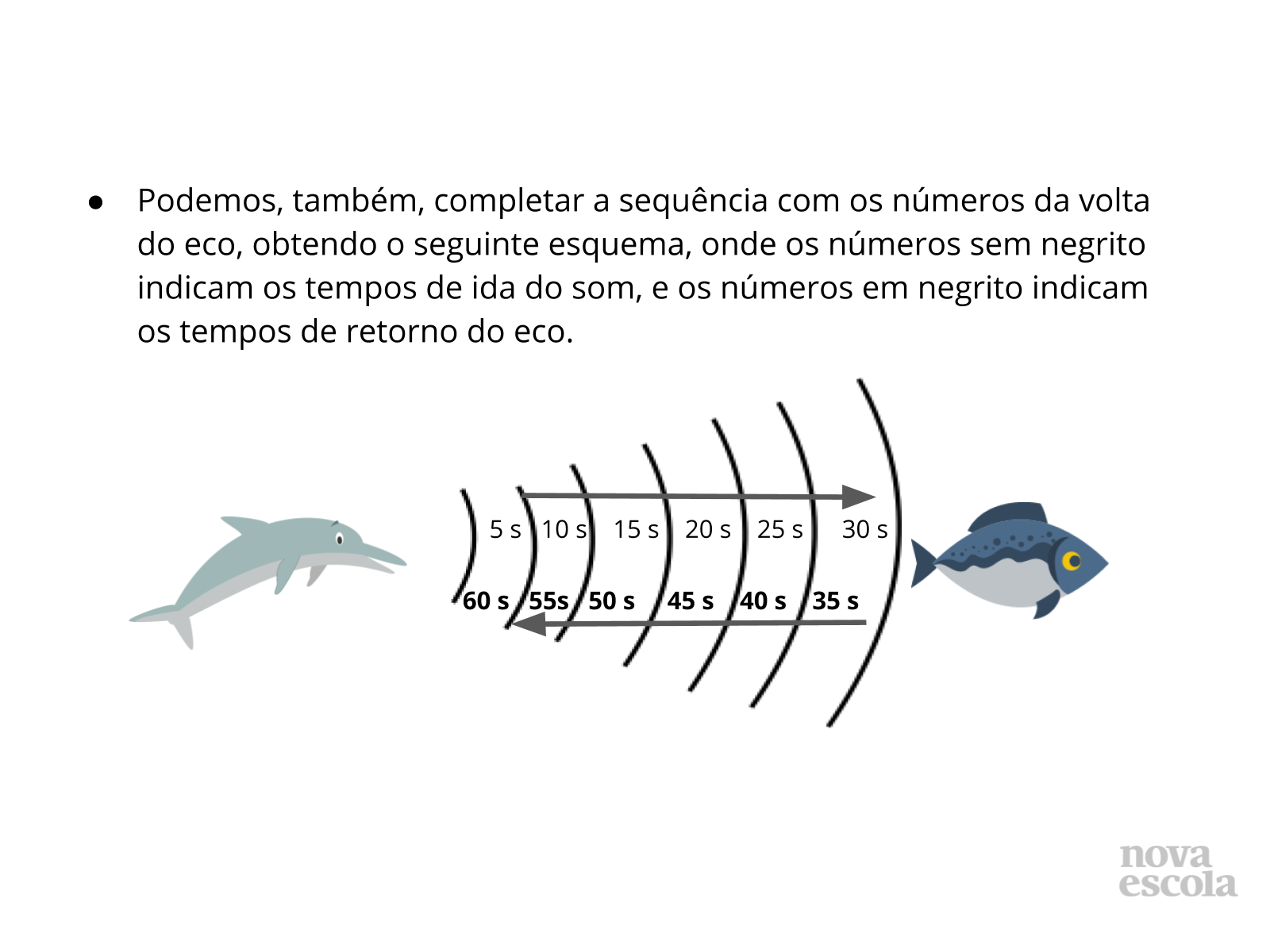 Identificar regularidades em sequências ordenadas. - Twinkl