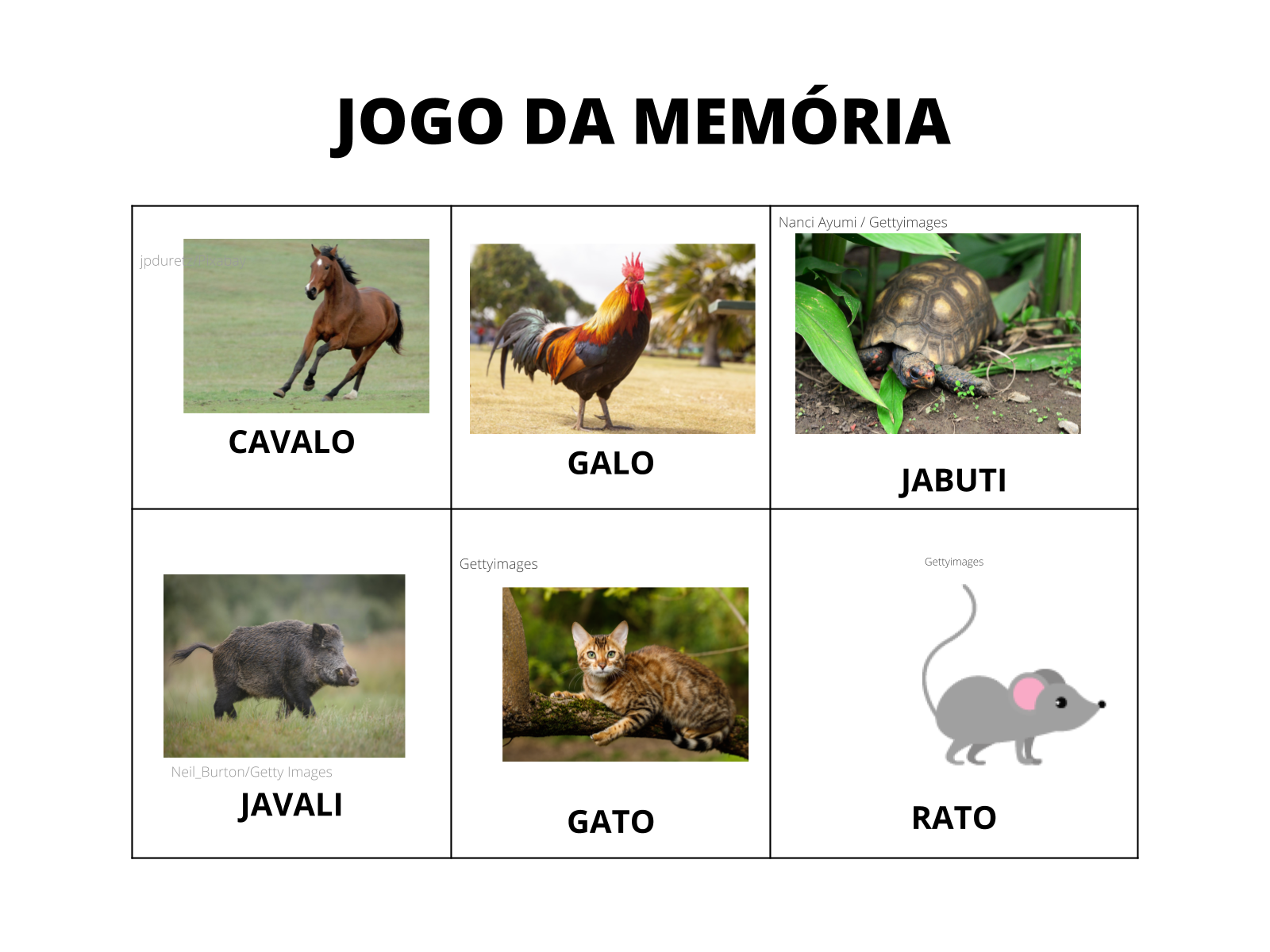 Jogo de Memória Temática - Animais - Dicas para Pais e Educadores