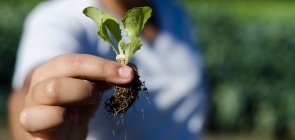 Agricultura multidisciplinar