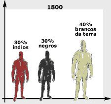 Ilustrações: Jardim