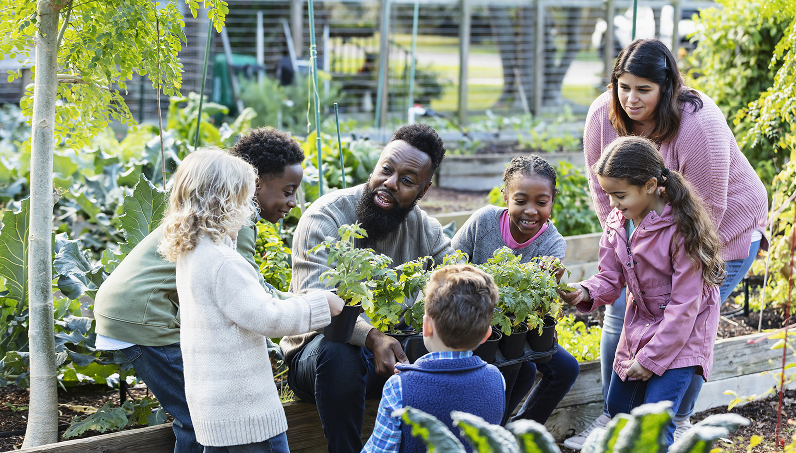 Professor ensinando crianças sobre plantas em jardim comunitário da escola