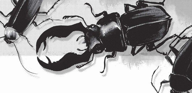 Explore o realismo fantástico do autor alemão com a leitura de uma de suas obras mais famosas. Ilustração: Olavo Costa