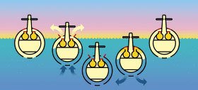 O segredo do submarino. Ilustração:Milton Rodrigues Alves