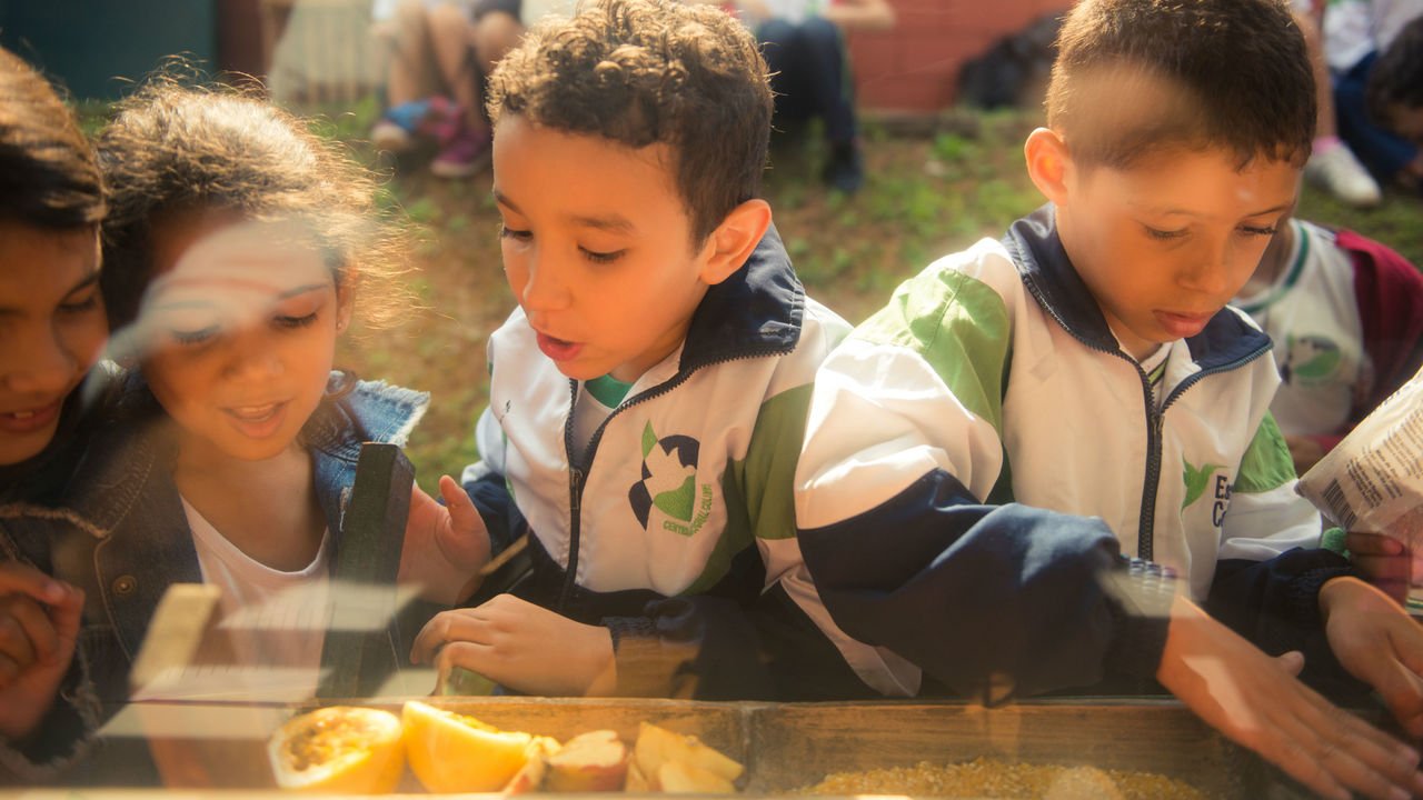 Estudantes separando frutas