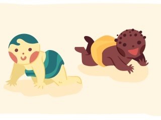 ilustracao