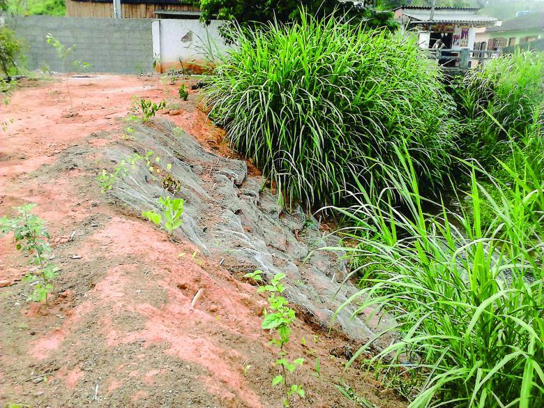 Terra e tela para evitar a erosão do solo
