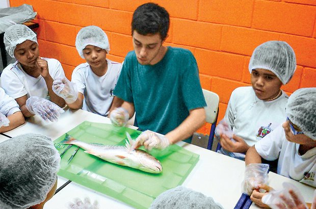 O estudo da anatomia dos peixes e a produção de fotos-legendas foram intercaladas à pesquisa. Arquivo pessoal/Roberto Leandro dos Santos
