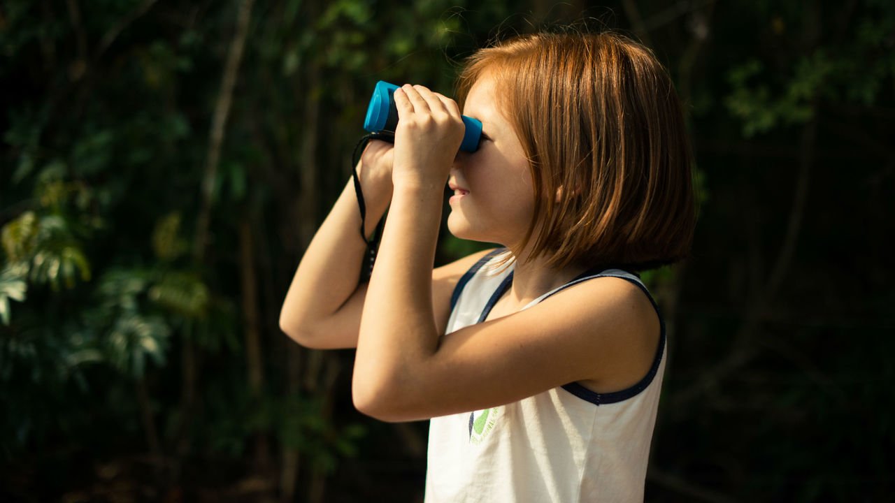 Menina procurando aves
