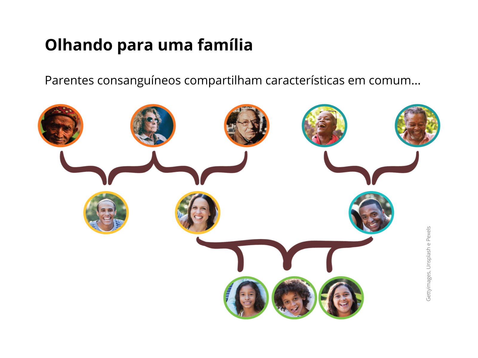 Plano De Aula 9º Ano Ciências E Os Genes O Que Têm A Ver Com A