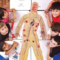 Após a pesquisa em livros e outras fontes, os alunos construíram modelos dos sistemas, como o circulatório do corpo humano.